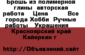 Брошь из полимерной глины, авторская работа. › Цена ­ 900 - Все города Хобби. Ручные работы » Украшения   . Красноярский край,Кайеркан г.